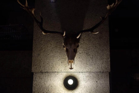 ホクダイマエ食堂 CIERVO